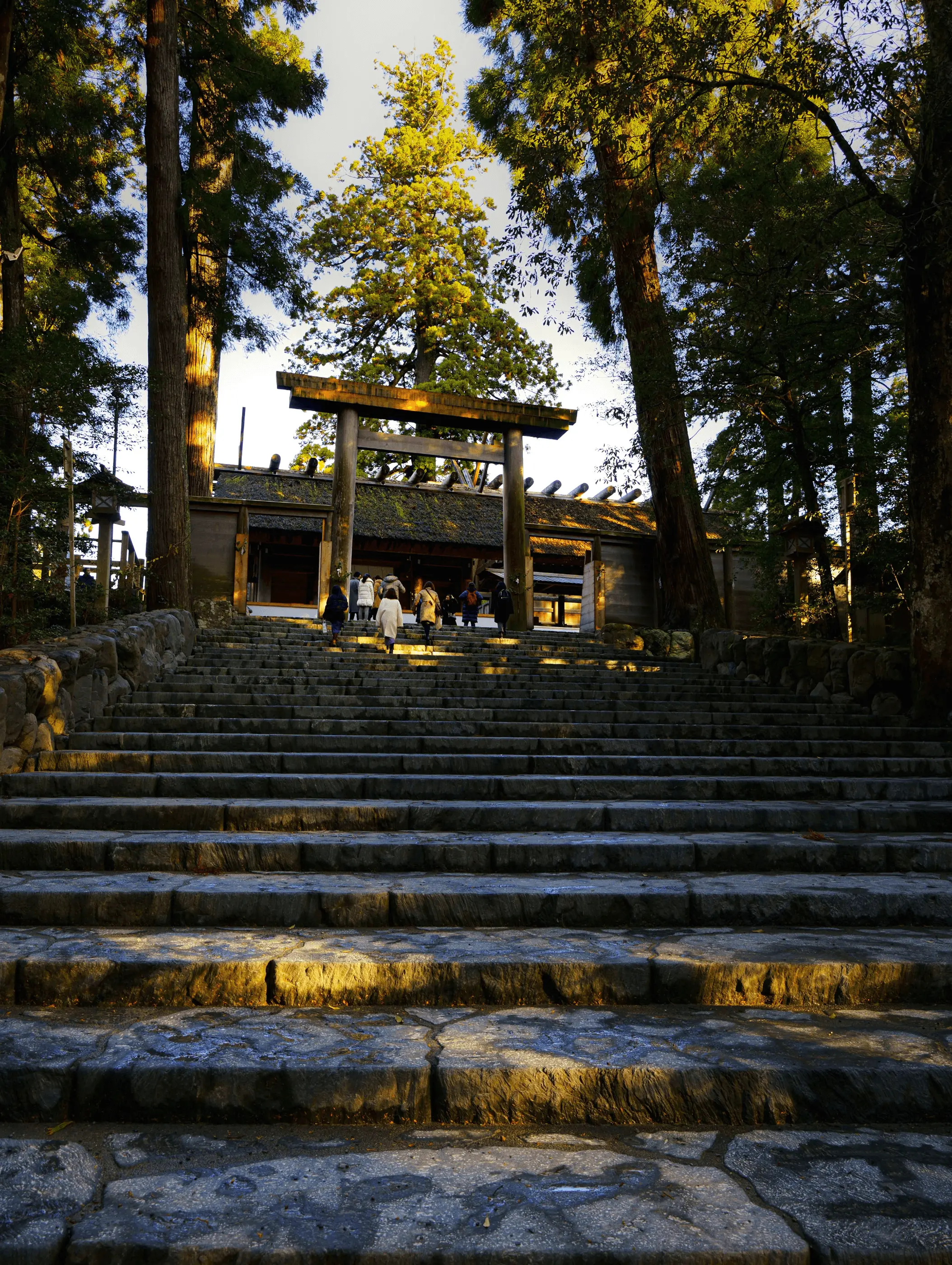 伊勢神宮内宮の石段と鳥居を見上げる構図で、杉木立に囲まれた参道を多くの参拝者が進む様子から、三重県伊勢市の神聖で厳かな空気感が伝わる風景